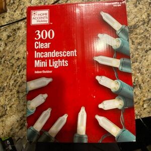 Home Accents Holiday Clear Incandescent Mini Lights New & Used Bundle